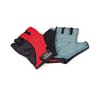 Accesories - Fitness Gloves