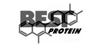 Best Protein